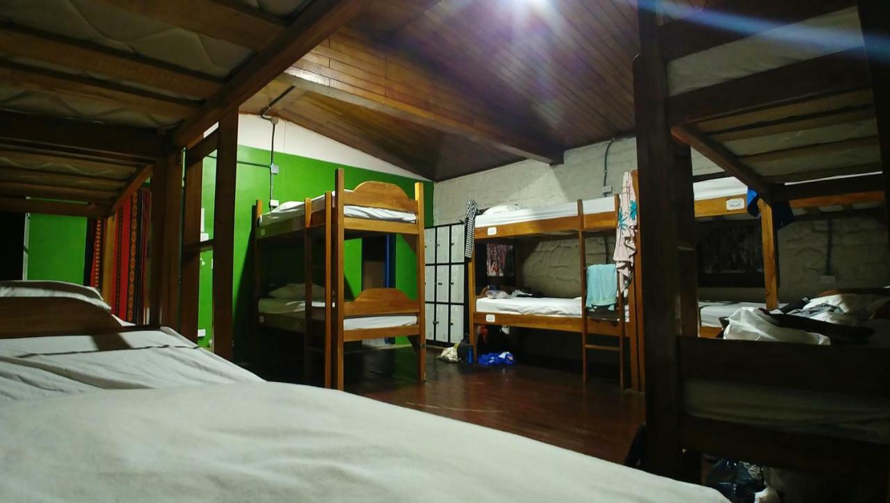 Bunk Bed in Mixed Dormitory Room